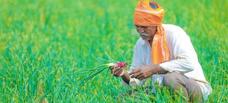 कृषि विधेयक