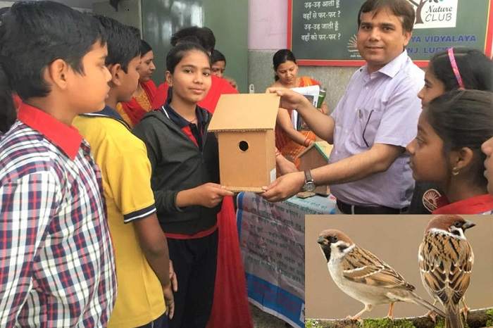 Kendriya-Vidyalaya-students