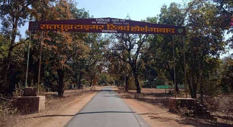Satpura Tiger Reserve