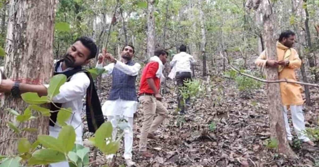 Buxwaha Forest
