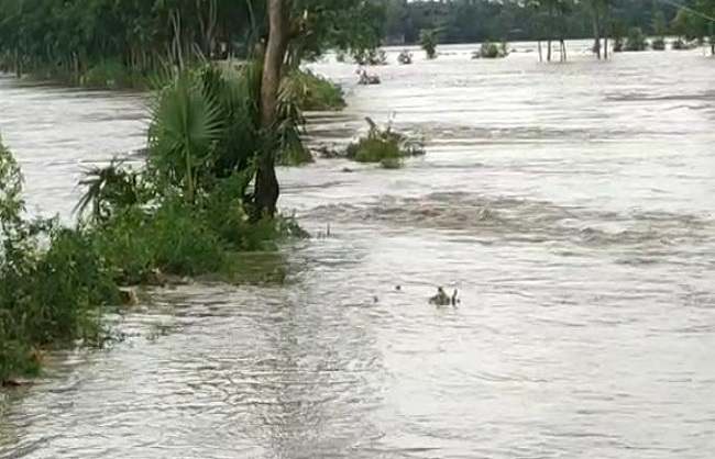 जोरदार बारिश से जनजीवन अस्त-व्यस्त
