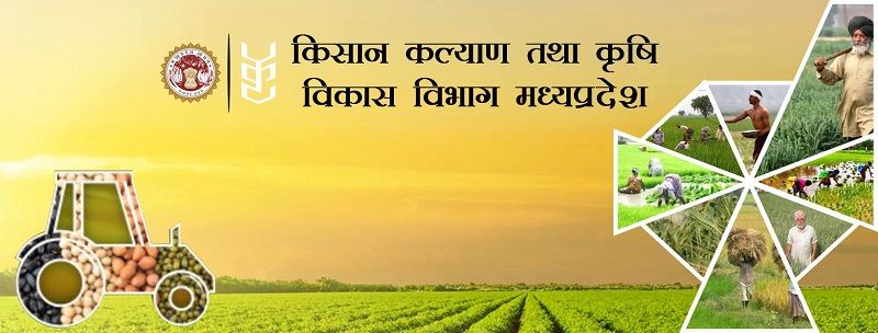 Moong Dal Support Price