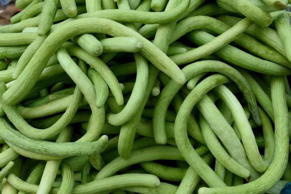 cucumber