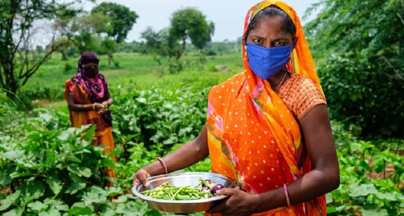ग्रामीण अर्थव्यवस्था