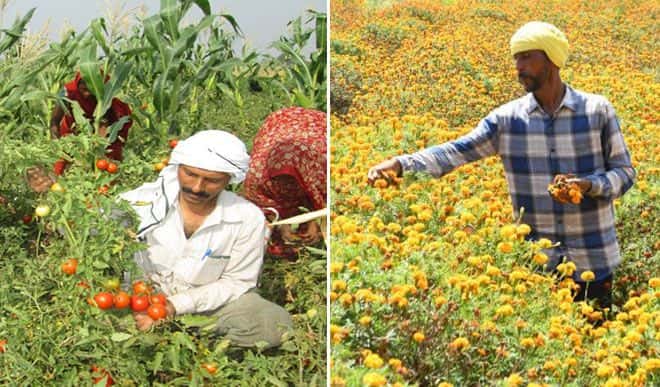झारखंड के किसान