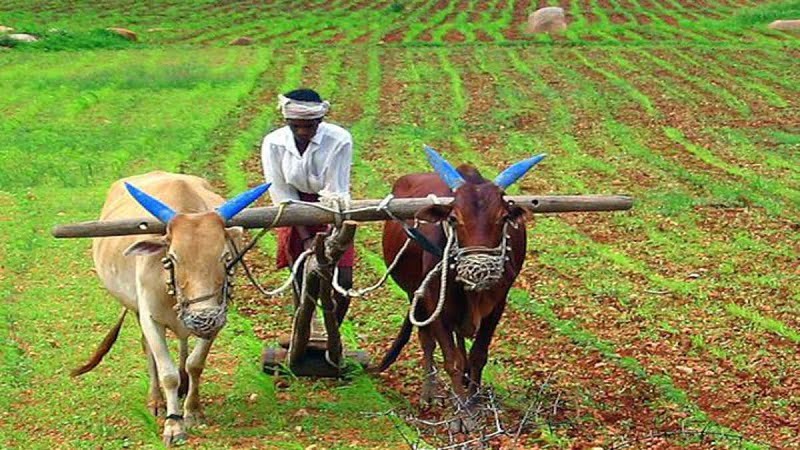 पायलट प्रोजेक्ट