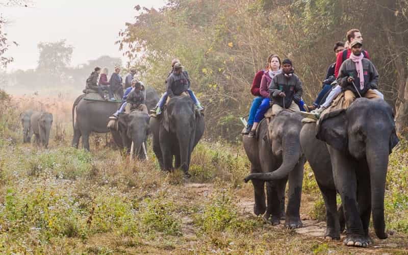काजीरंगा राष्ट्रीय उद्यान