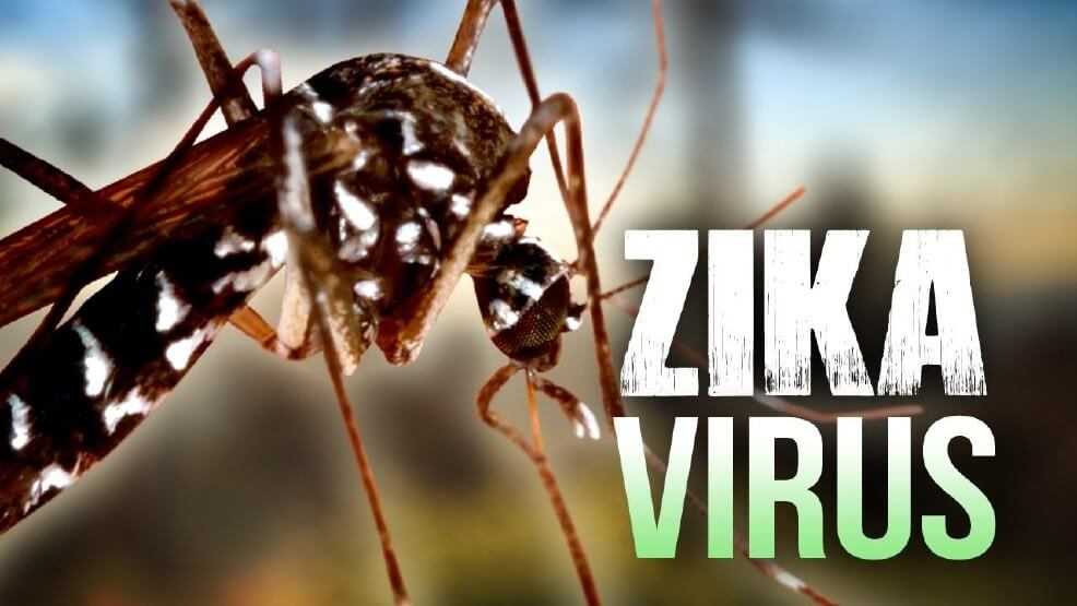 ZIKA VIRUS danger